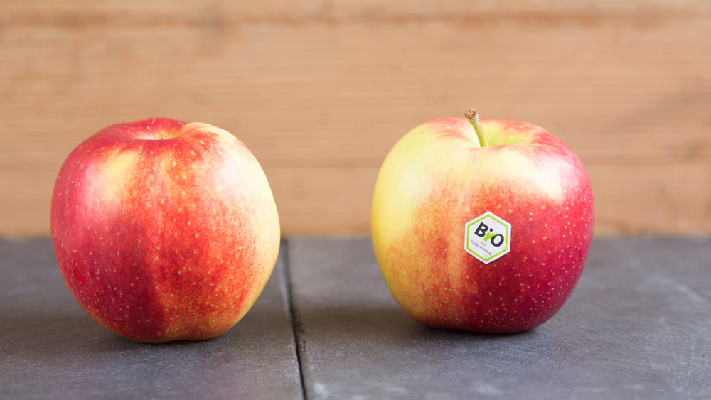 We offer food labels that meet technical and regulatory requirements for all major markets